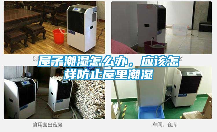 屋子潮湿怎么办，应该怎样防止屋里潮湿