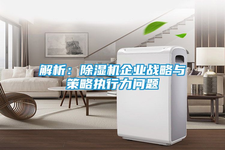 解析：除湿机企业战略与策略执行力问题