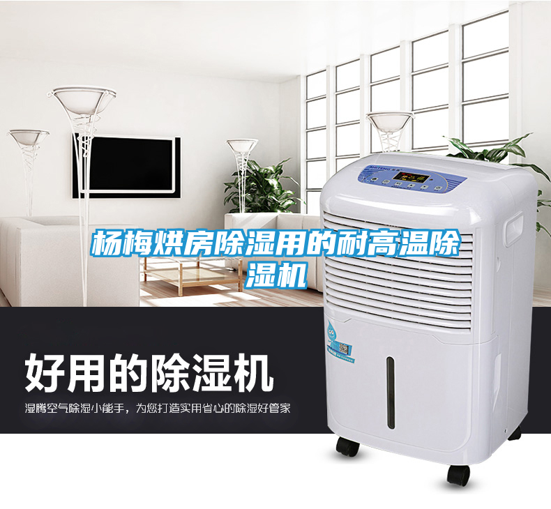 杨梅烘房除湿用的耐高温除湿机