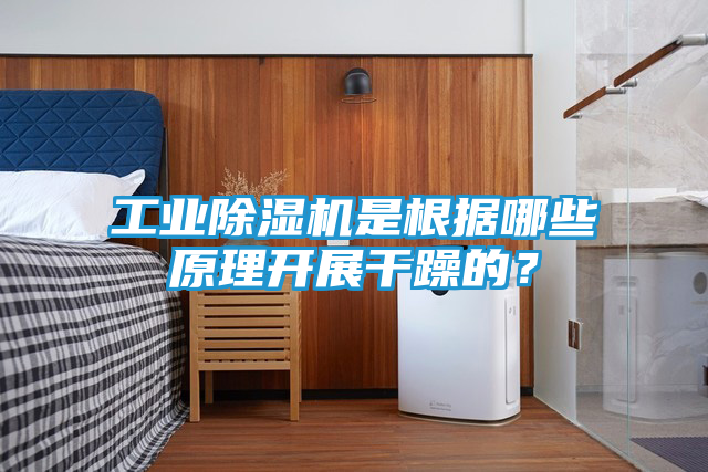 工业除湿机是根据哪些原理开展干躁的？