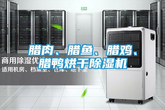 腊肉、腊鱼、腊鸡、腊鸭烘干除湿机