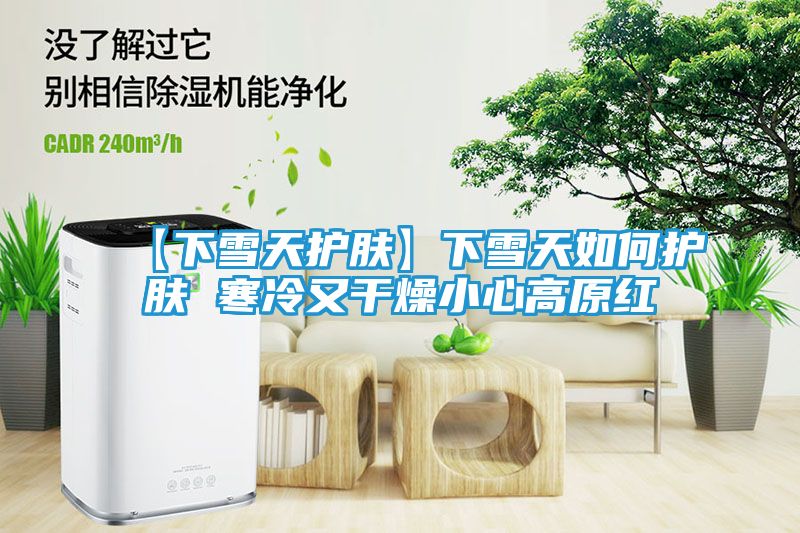 【下雪天护肤】下雪天如何护肤 寒冷又干燥小心高原红