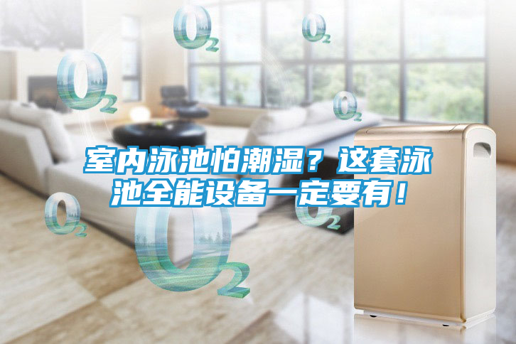 室内泳池怕潮湿？这套泳池全能设备一定要有！