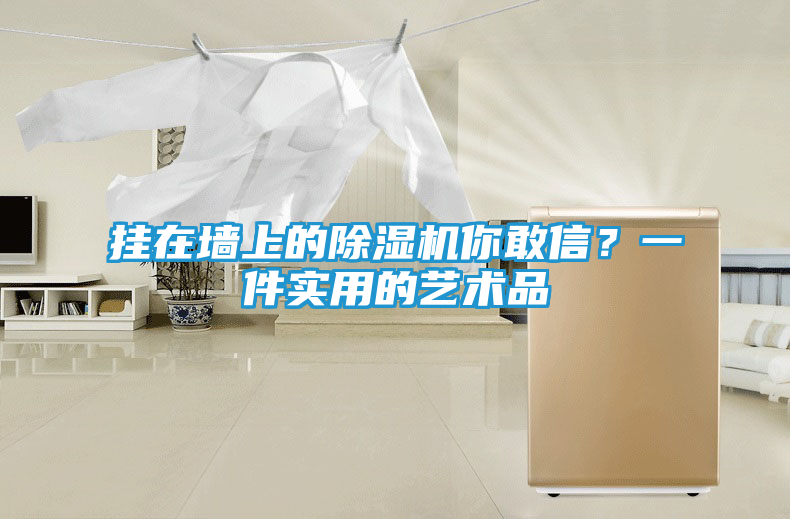 挂在墙上的除湿机你敢信？一件实用的艺术品