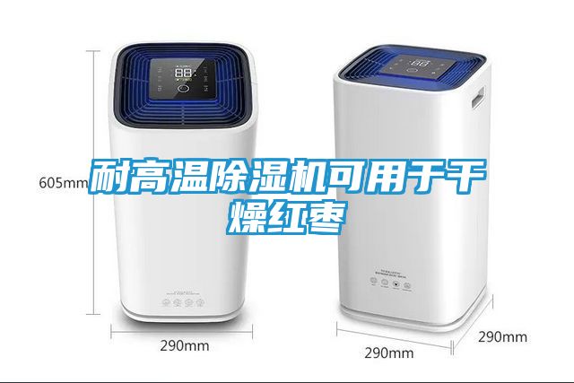 耐高温除湿机可用于干燥红枣