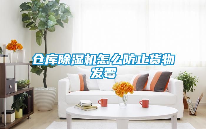 仓库除湿机怎么防止货物发霉