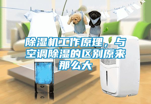 除湿机工作原理，与空调除湿的区别原来那么大