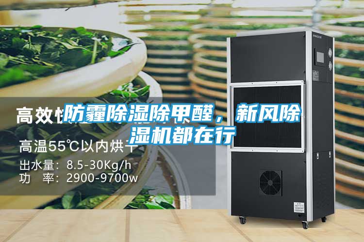 防霾除湿除甲醛,新风除湿机都在行