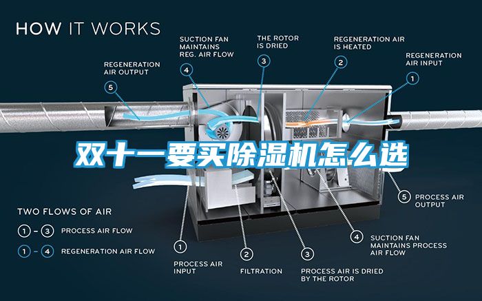 双十一要买除湿机怎么选