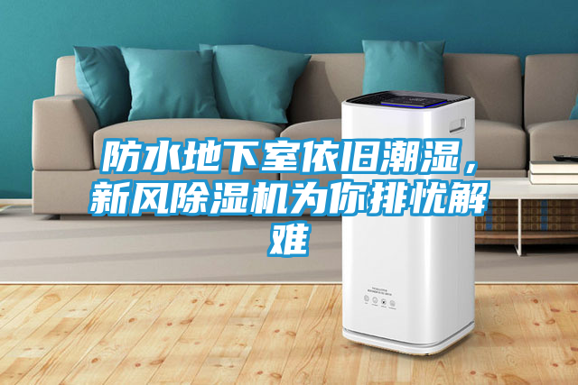 防水地下室依旧潮湿，新风除湿机为你排忧解难