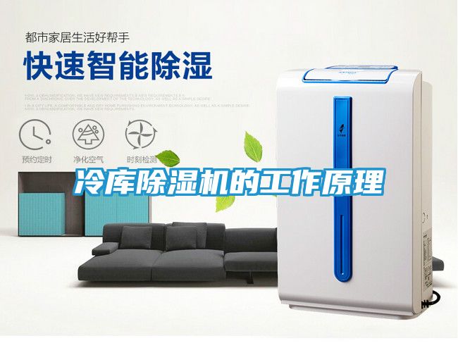 冷库除湿机的工作原理