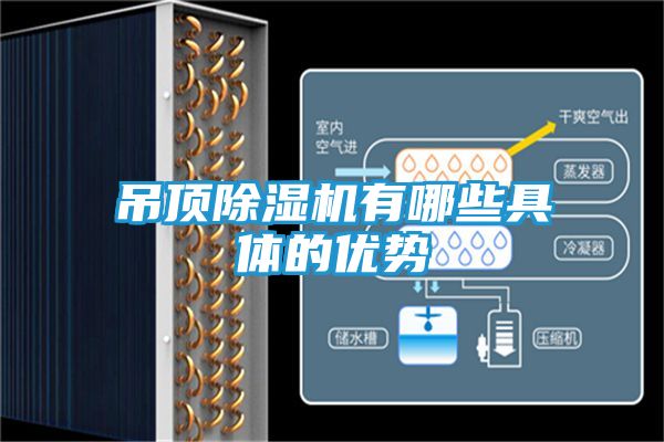吊顶除湿机有哪些具体的优势