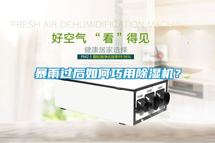 暴雨过后如何巧用除湿机？