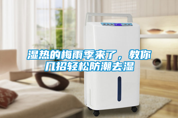 湿热的梅雨季来了，教你几招轻松防潮去湿
