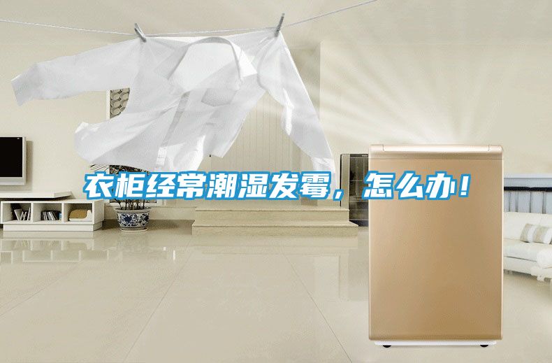 衣柜经常潮湿发霉，怎么办！