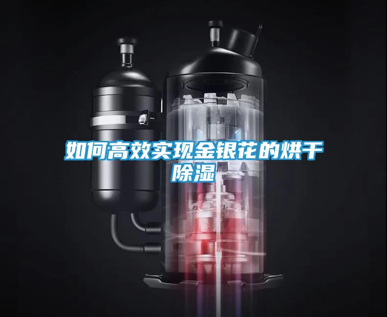 如何高效实现金银花的烘干除湿