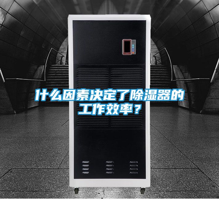 什么因素决定了除湿器的工作效率？