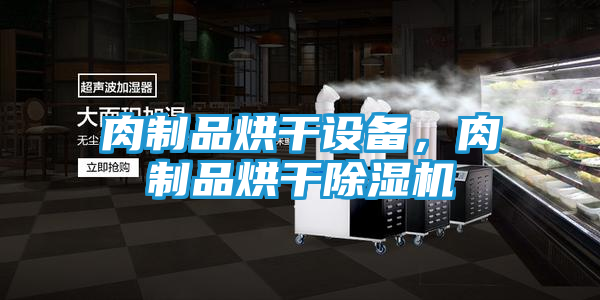 肉制品烘干设备，肉制品烘干除湿机
