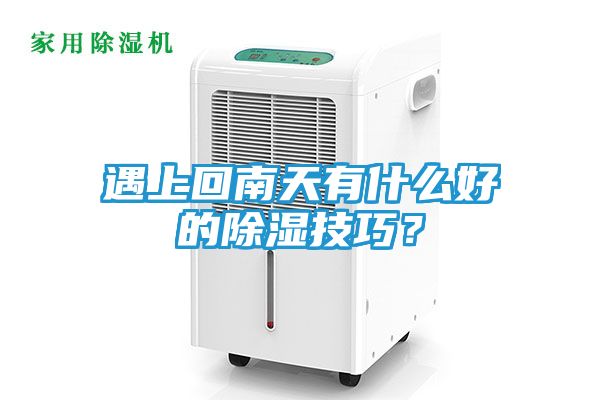 遇上回南天有什么好的除湿技巧？