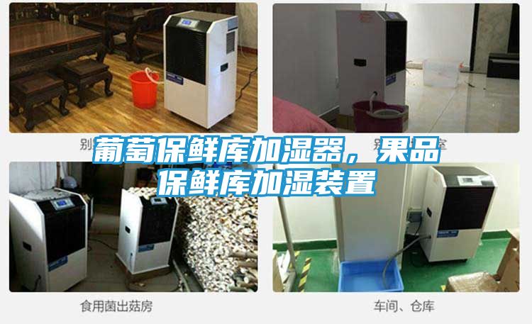 葡萄保鲜库加湿器，果品保鲜库加湿装置