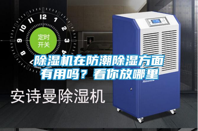 除湿机在防潮除湿方面有用吗？看你放哪里