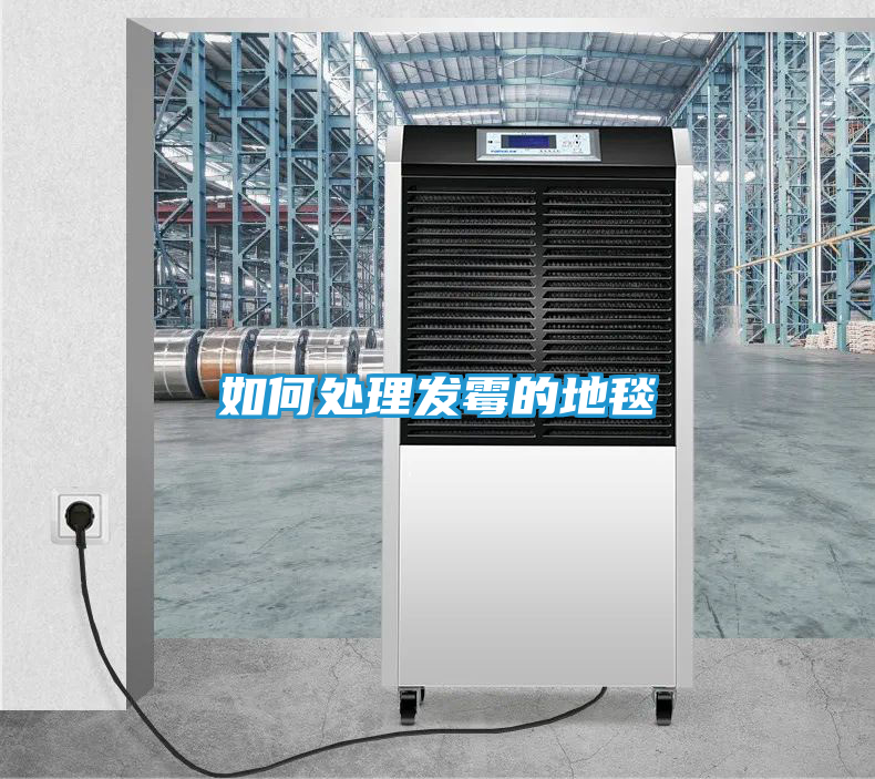 如何处理发霉的地毯