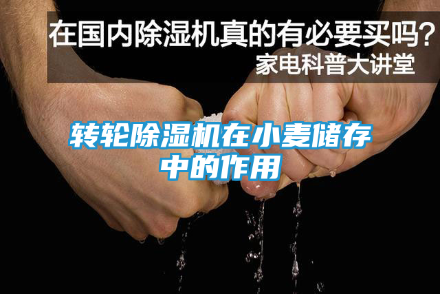转轮除湿机在小麦储存中的作用