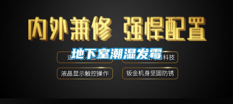 地下室潮湿发霉