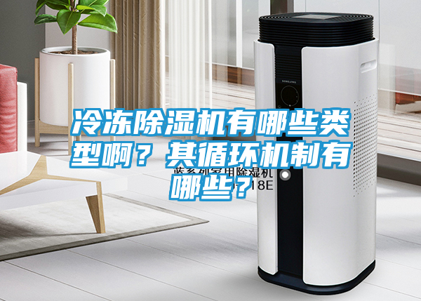 冷冻除湿机有哪些类型啊？其循环机制有哪些？