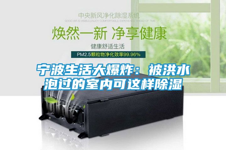 宁波生活大爆炸：被洪水泡过的室内可这样除湿