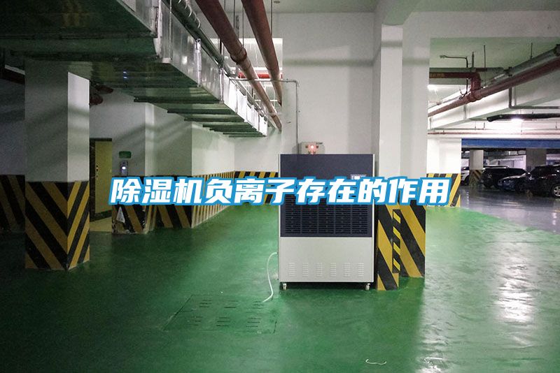 除湿机负离子存在的作用