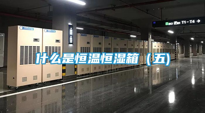 什么是恒温恒湿箱（五)