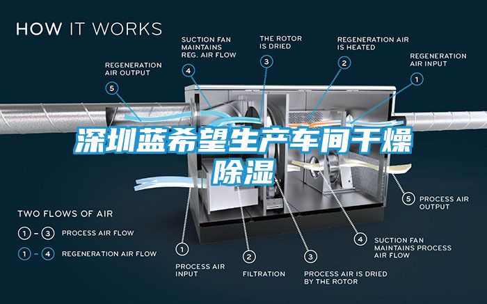 深圳蓝希望生产车间干燥除湿