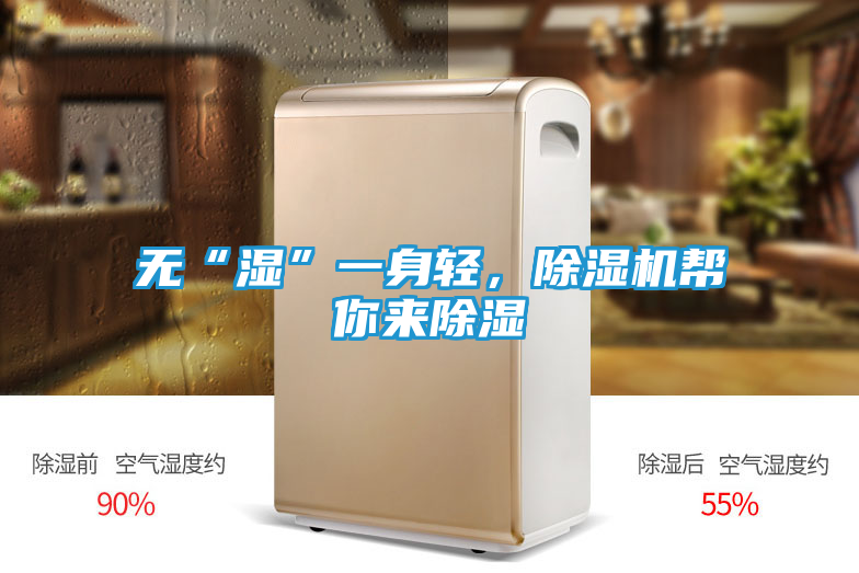 无“湿”一身轻，除湿机帮你来除湿
