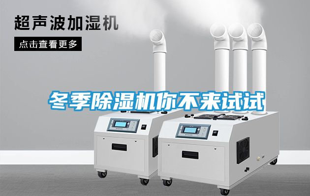 冬季除湿机你不来试试