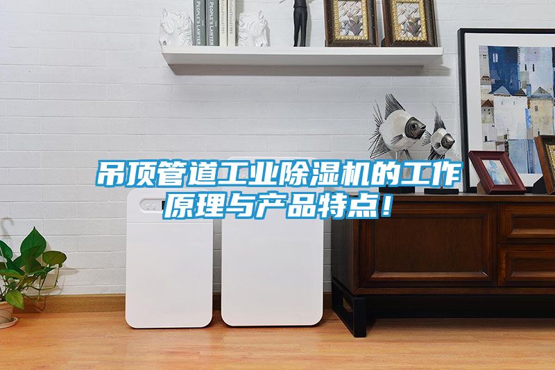 吊顶管道工业除湿机的工作原理与产品特点！