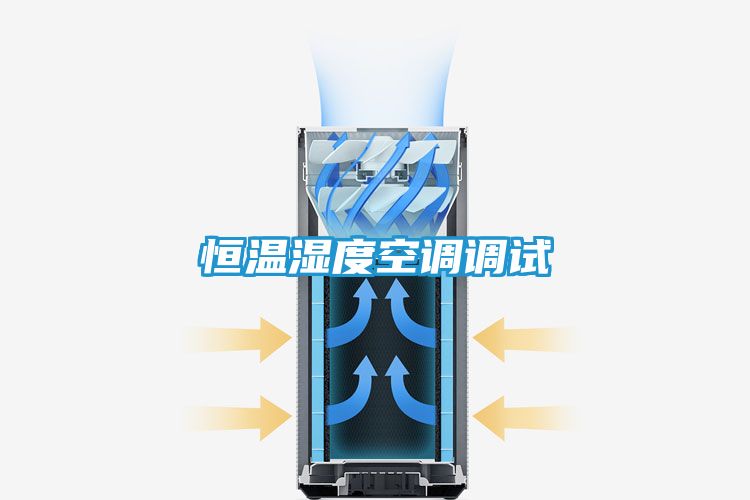 恒温湿度空调调试