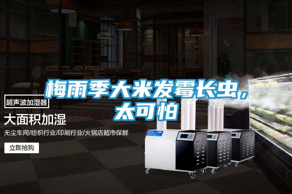梅雨季大米发霉长虫，太可怕
