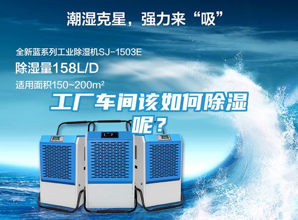 工厂车间该如何除湿呢？