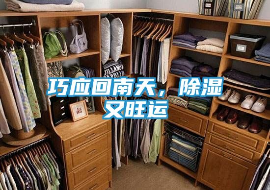 巧应回南天，除湿又旺运