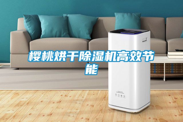 樱桃烘干除湿机高效节能