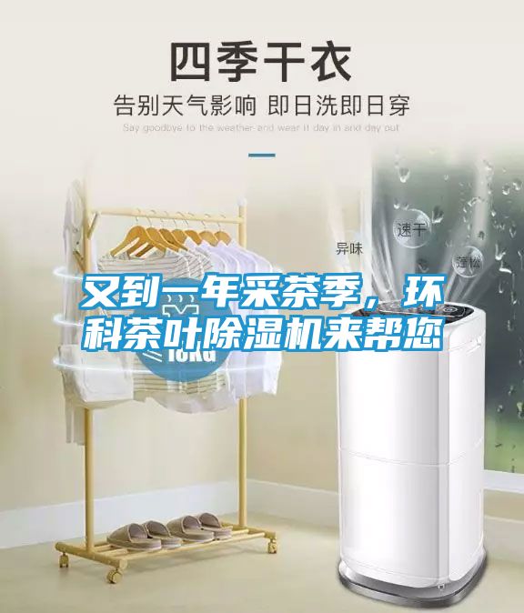 又到一年采茶季，环科茶叶除湿机来帮您