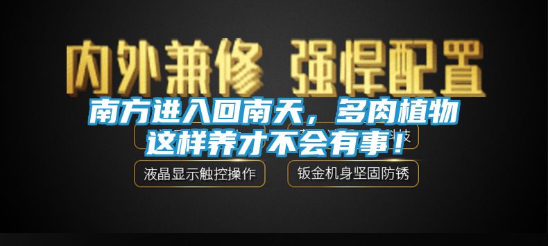 南方进入回南天，多肉植物这样养才不会有事！