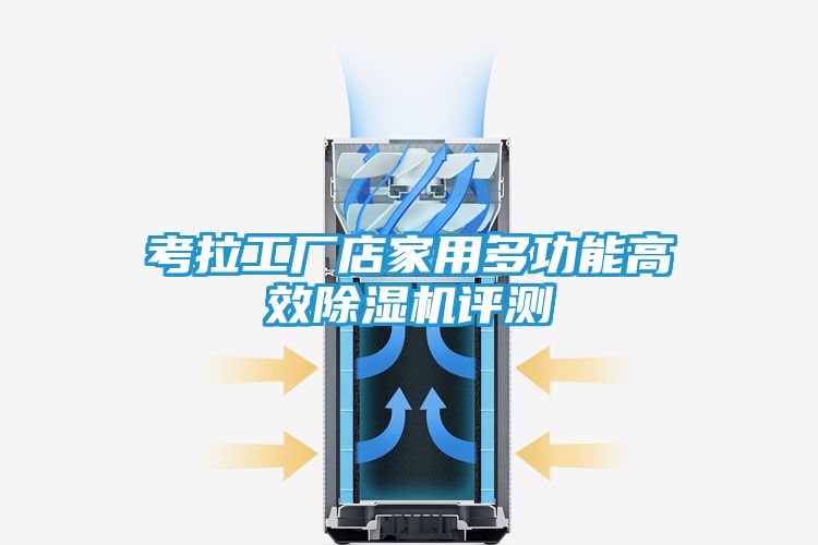考拉工厂店家用多功能高效除湿机评测