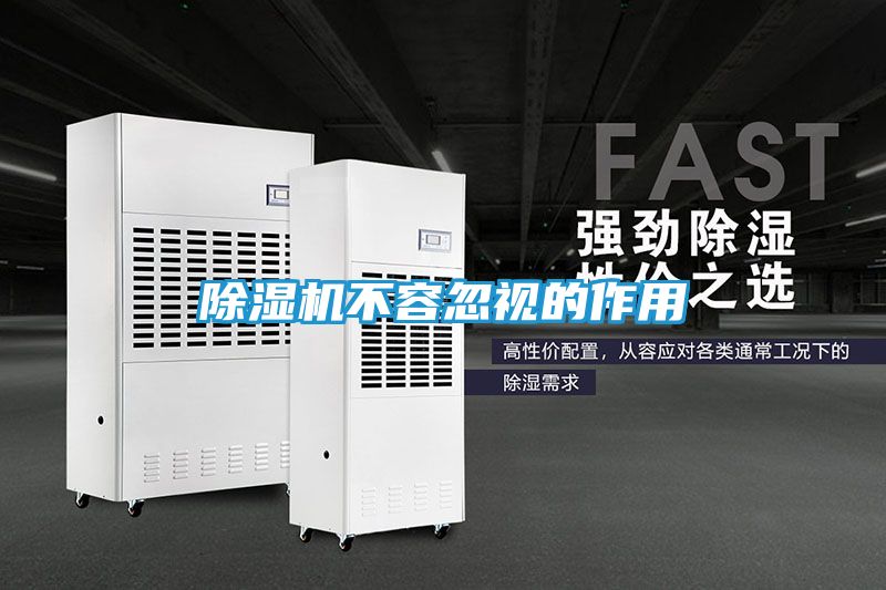 除湿机不容忽视的作用