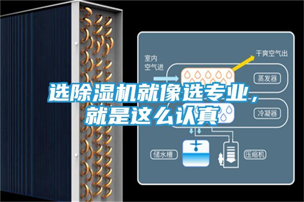 选除湿机就像选专业，就是这么认真