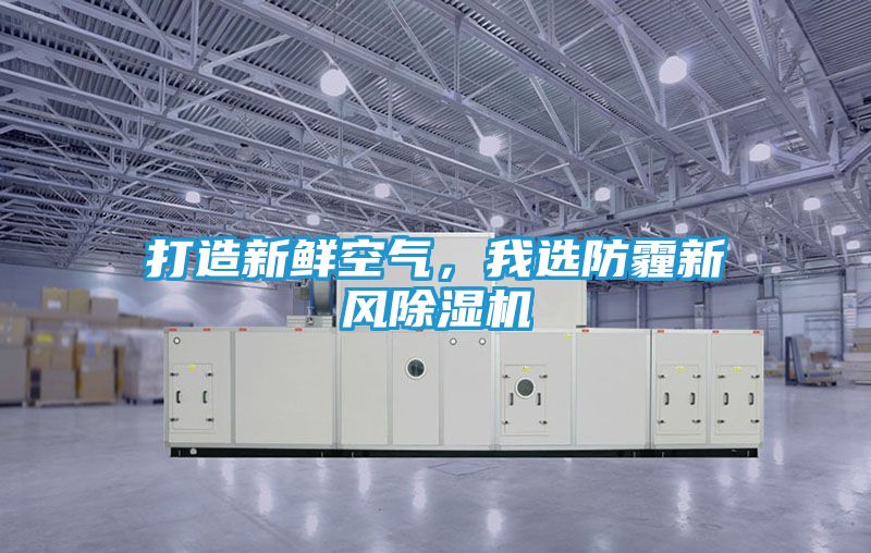 打造新鲜空气，我选防霾新风除湿机