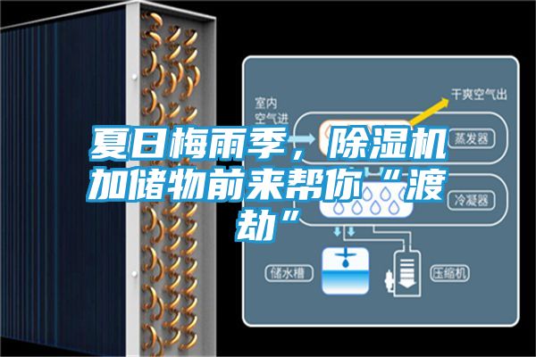 夏日梅雨季，除湿机加储物前来帮你“渡劫”