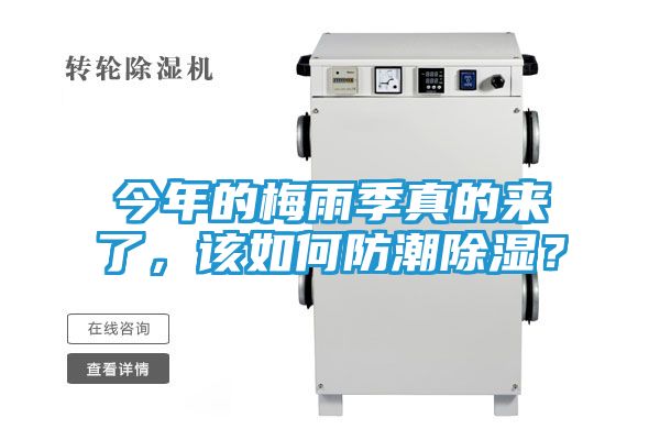 今年的梅雨季真的来了，该如何防潮除湿？