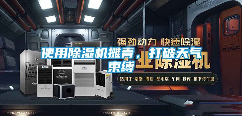 使用除湿机摊青，打破天气束缚